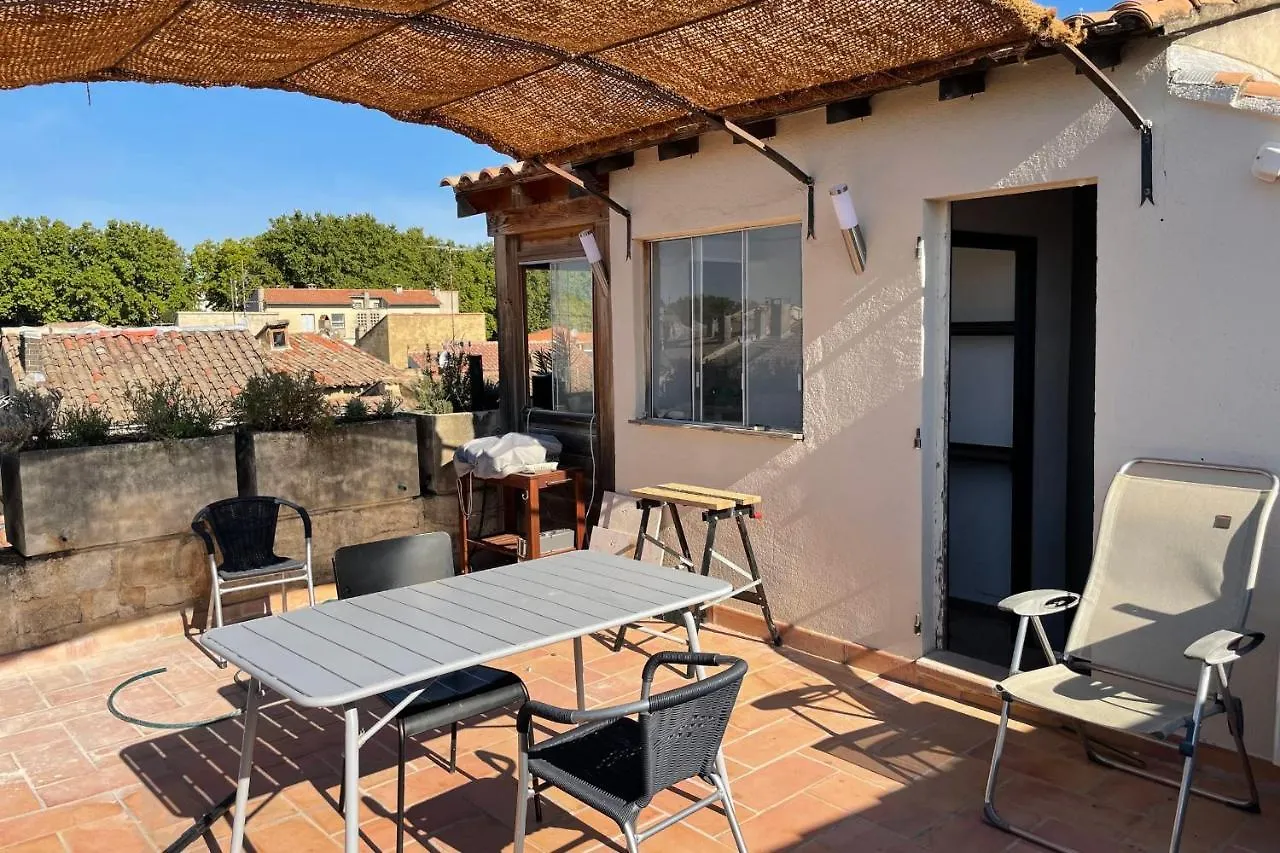 100M With View On Avignon Palais Des Papes Apartment France